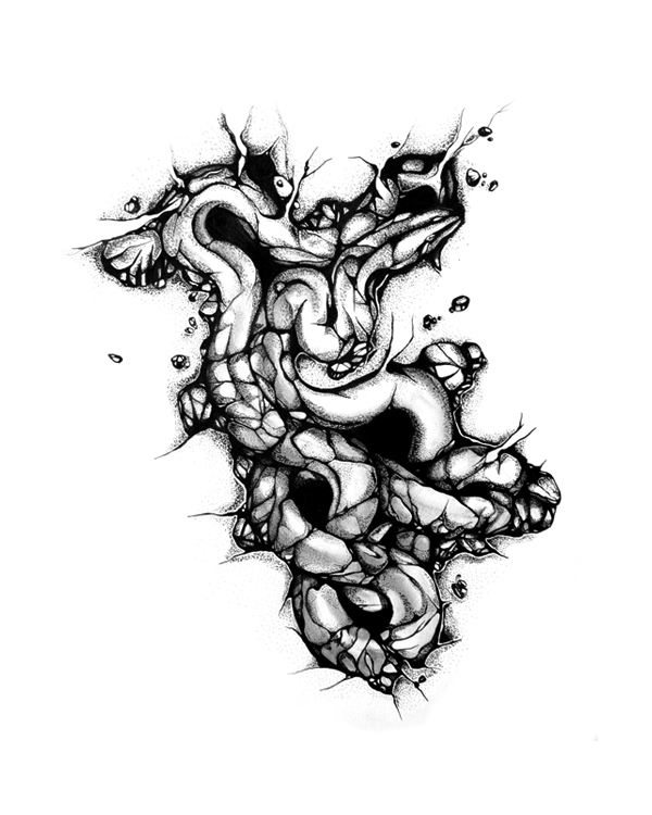snakerock